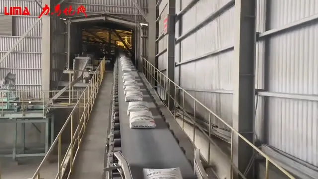 เครื่องบรรจุและจัดเรียงถุงบนพาเลทอัตโนมัติสำหรับบริษัทซีเมนต์ในเวียดนาม